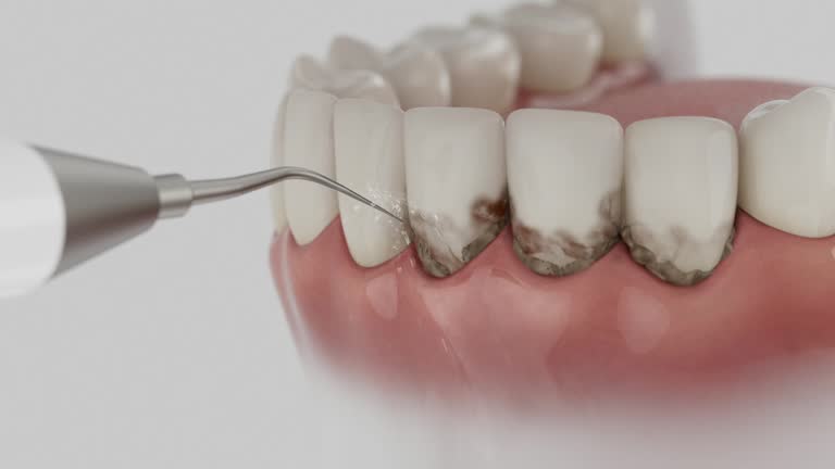 Reliable Dental contractor in Scotland Neck, NC by Dentist Open Now